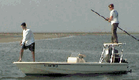 Isle Fishing Report on Jersey Cape Guide Service And Gibson S Tackle In Sea Isle City